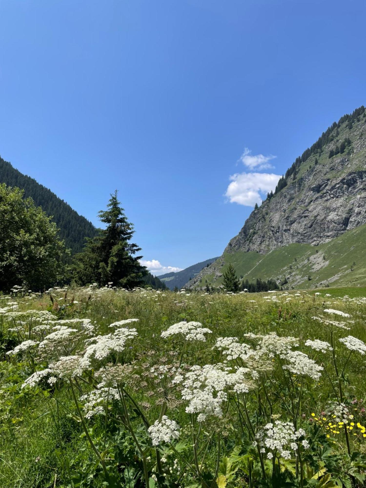 T2 Vue Sur Le Parc De La Vanoise La Plagne Dış mekan fotoğraf